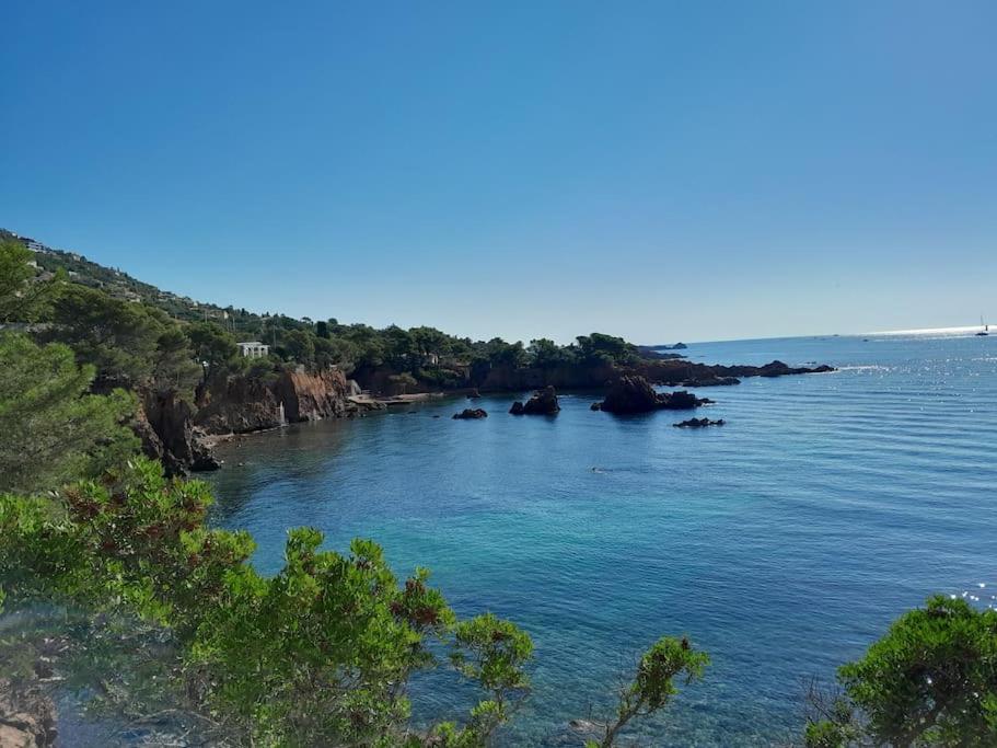 Charmant Studio Lumineux Avec Parking Prive Saint-Raphaël Eksteriør billede