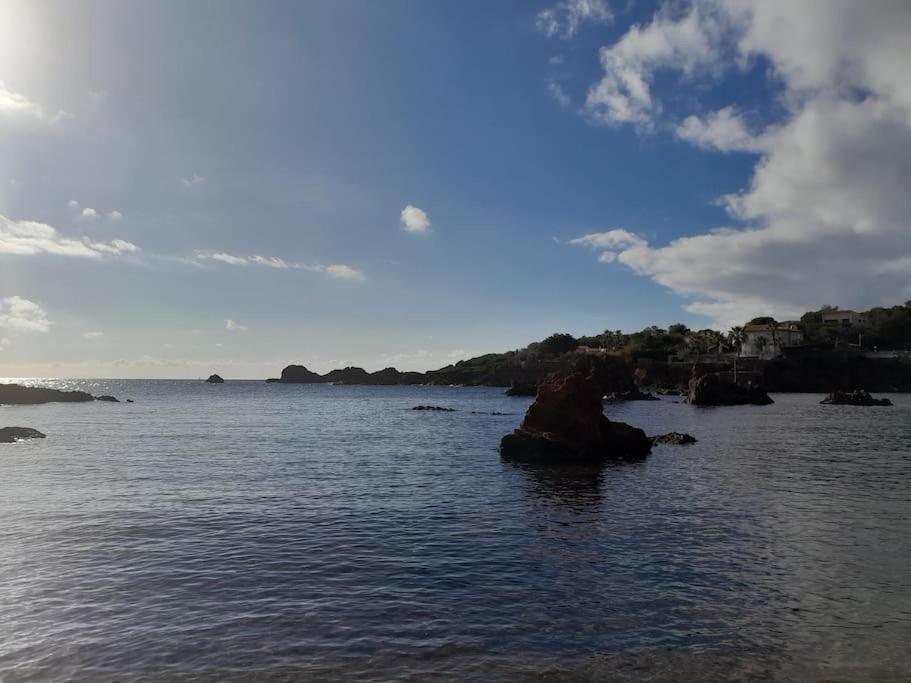 Charmant Studio Lumineux Avec Parking Prive Saint-Raphaël Eksteriør billede