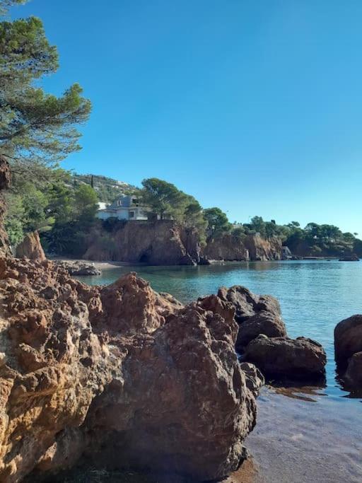 Charmant Studio Lumineux Avec Parking Prive Saint-Raphaël Eksteriør billede