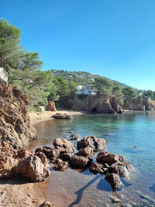 Charmant Studio Lumineux Avec Parking Prive Saint-Raphaël Eksteriør billede