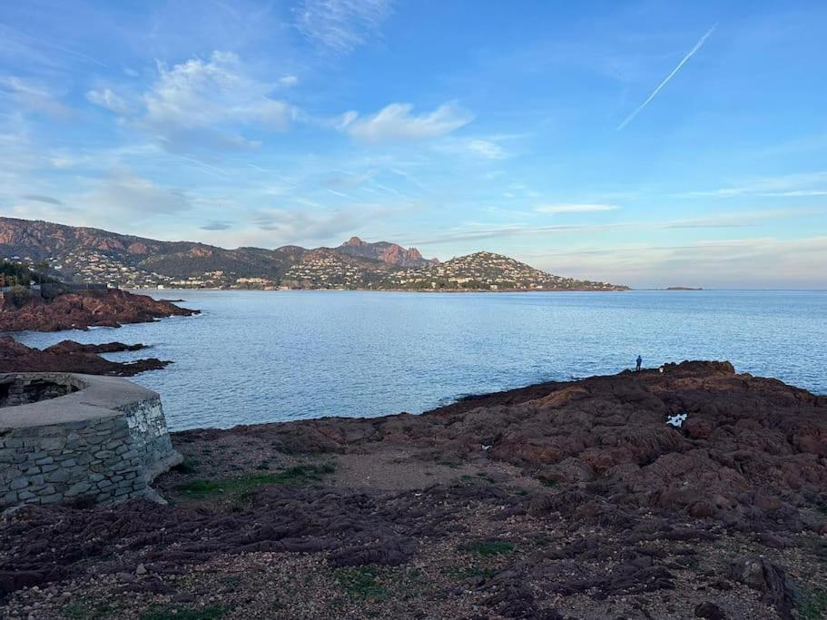 Charmant Studio Lumineux Avec Parking Prive Saint-Raphaël Eksteriør billede