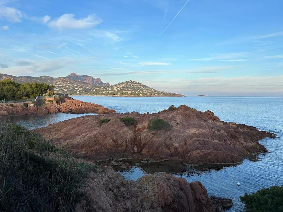 Charmant Studio Lumineux Avec Parking Prive Saint-Raphaël Eksteriør billede